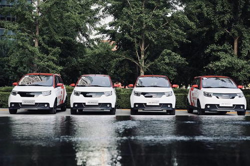 电咖汽车突围新赛道 年度实现规模化SUV销售成为亮点，重磅新品有望明年登场